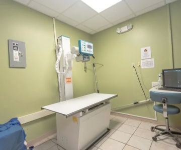 Care Animal Hospital