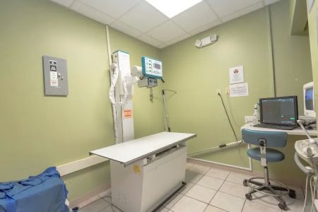 Care Animal Hospital