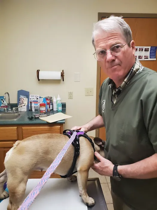 Boyce Animal Hospital 12