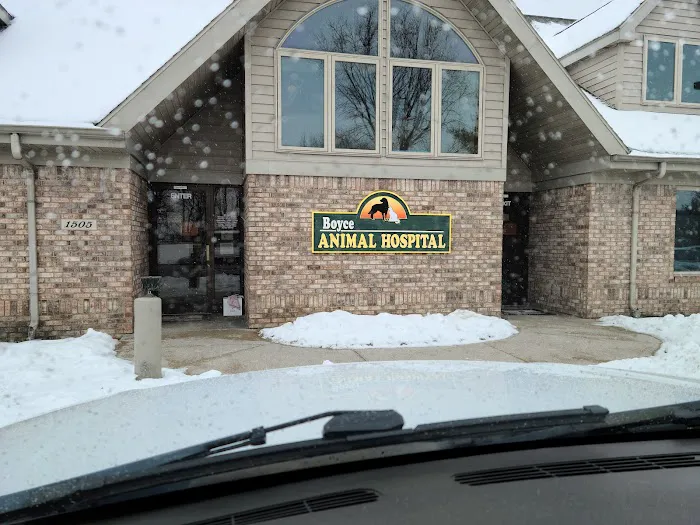 Boyce Animal Hospital 12