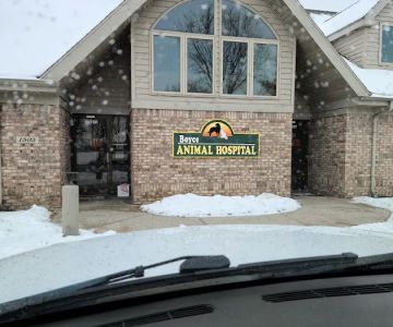 Boyce Animal Hospital