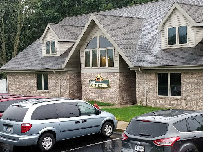 Boyce Animal Hospital 12