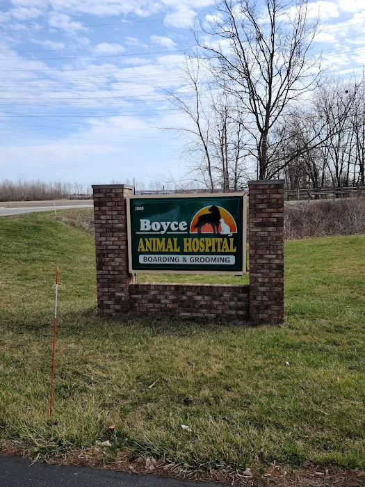 Boyce Animal Hospital 12