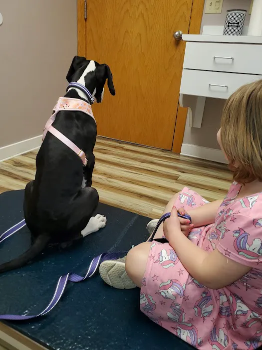Animal Care Clinic 2