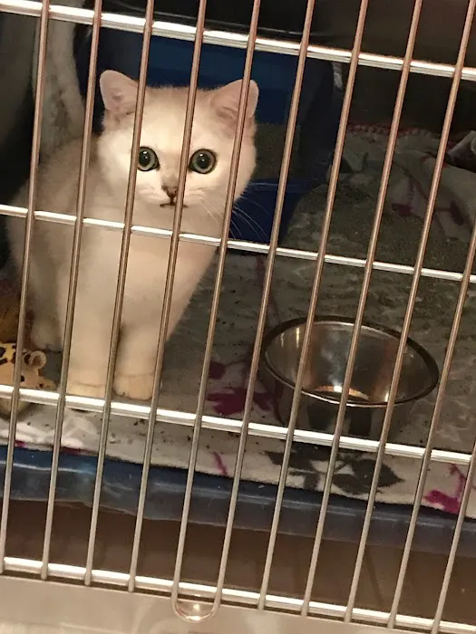 Animal Care Clinic 8