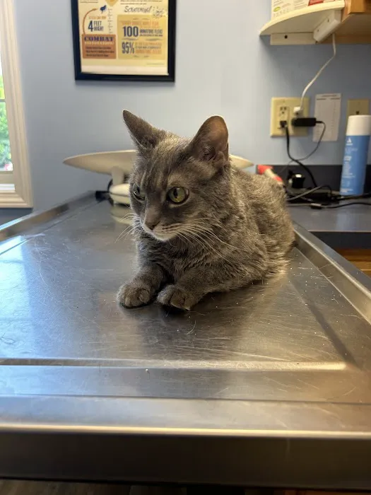 Oxford Veterinary Hospital 12