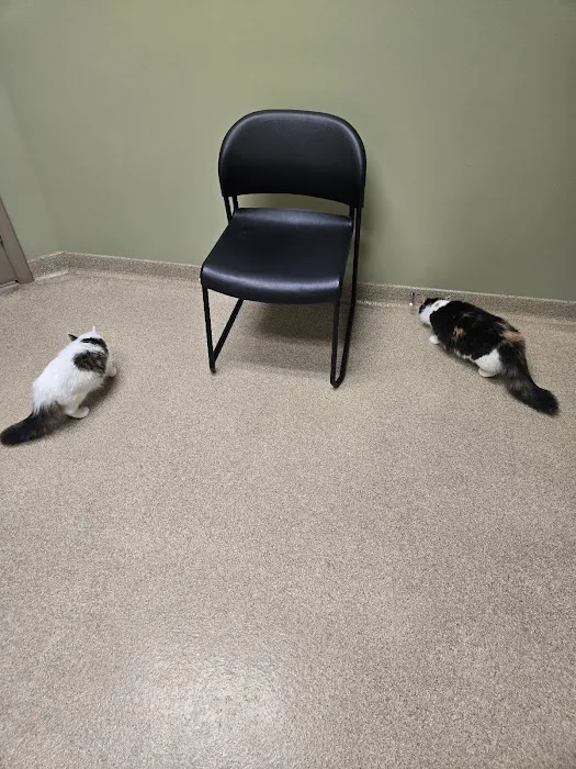 Dearborn County Animal Clinic 2