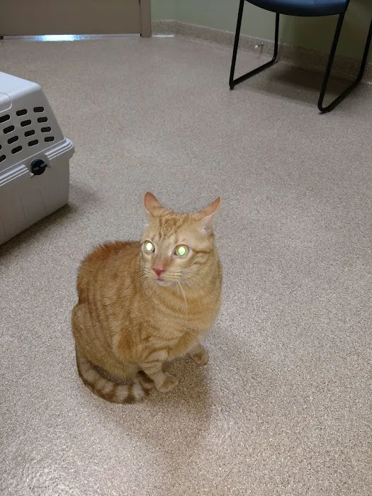 Dearborn County Animal Clinic 5