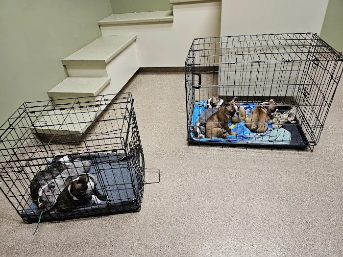 Dearborn County Animal Clinic 4