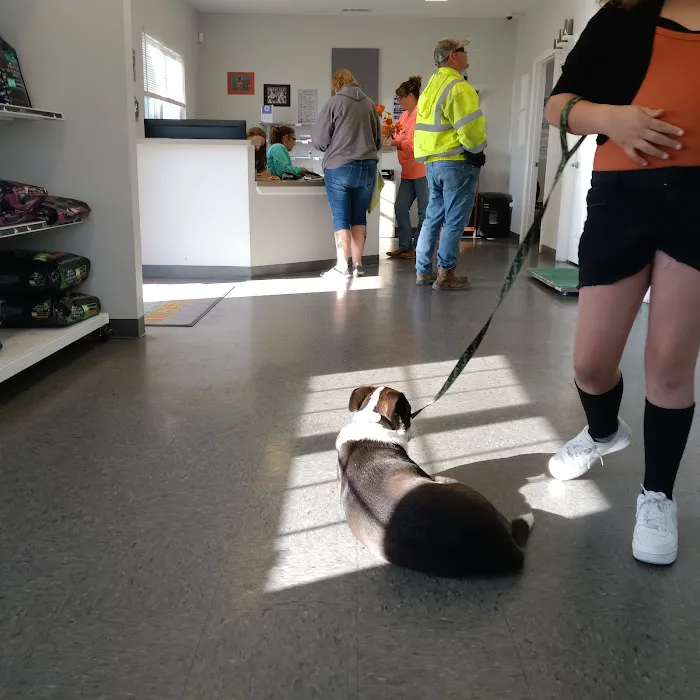 Rising Sun Veterinary Clinic 12