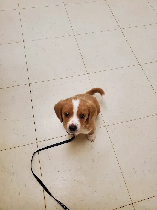 Lawrenceburg Veterinary Clinic 4