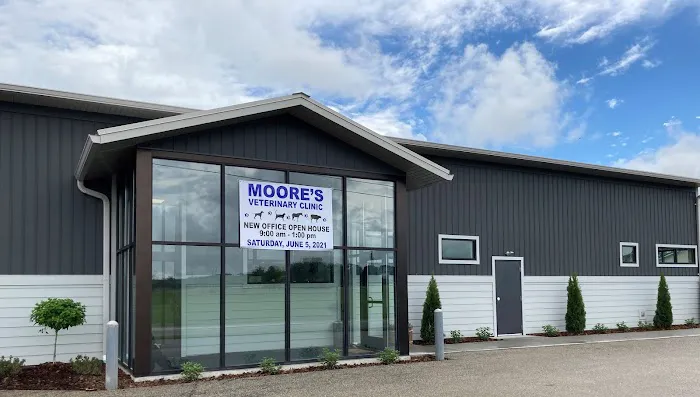 Moore's Veterinary Clinic 3
