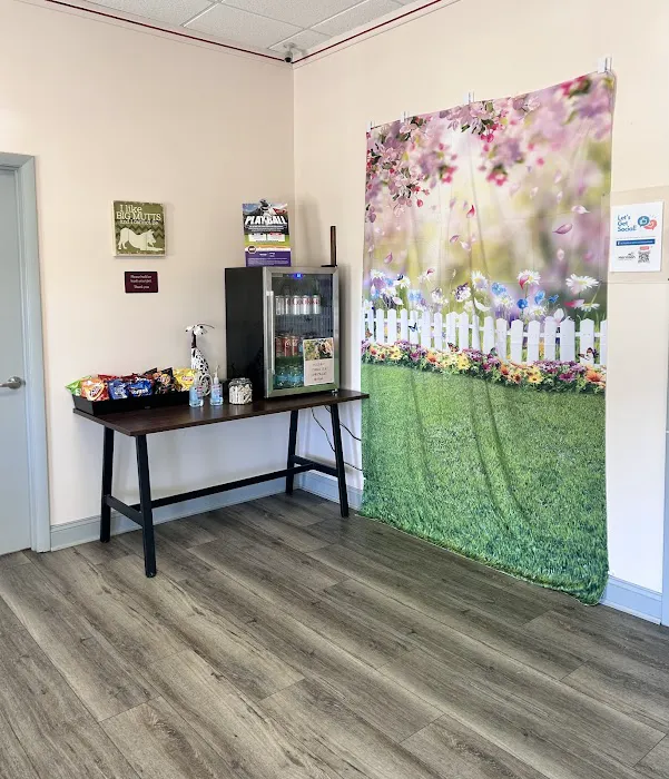 Harrison Animal Hospital 12