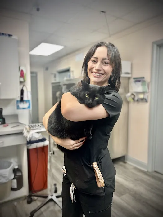Harrison Animal Hospital 12