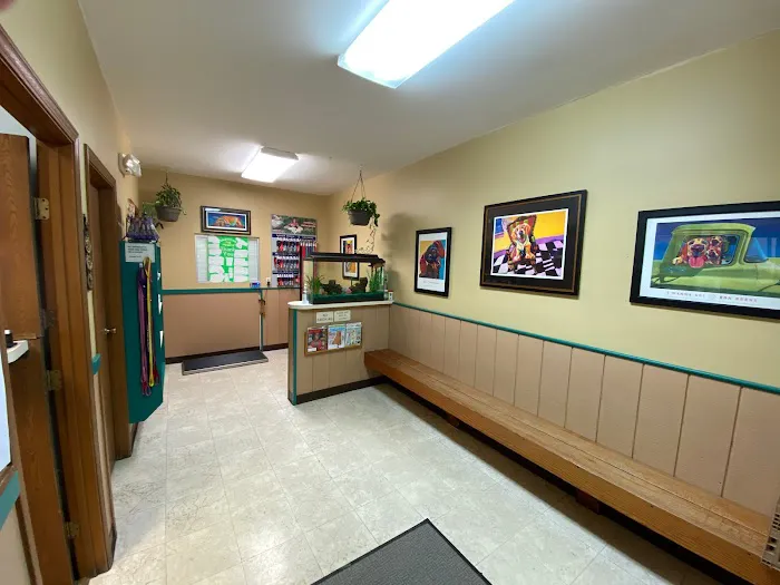 Miamitown Pet Hospital 4
