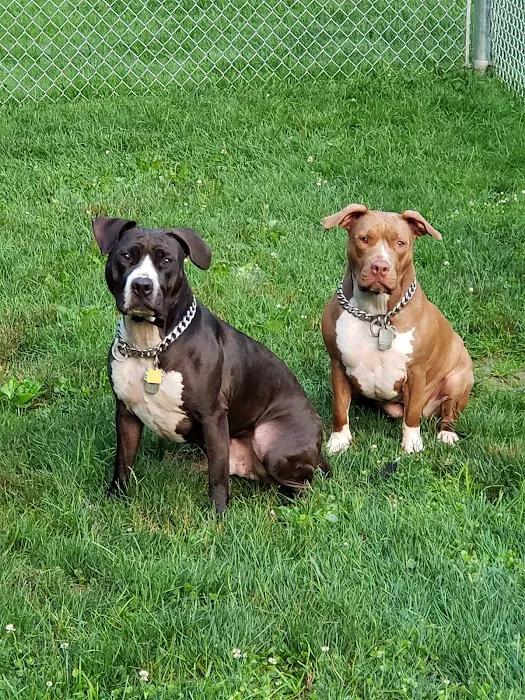 Miamitown Pet Hospital 6