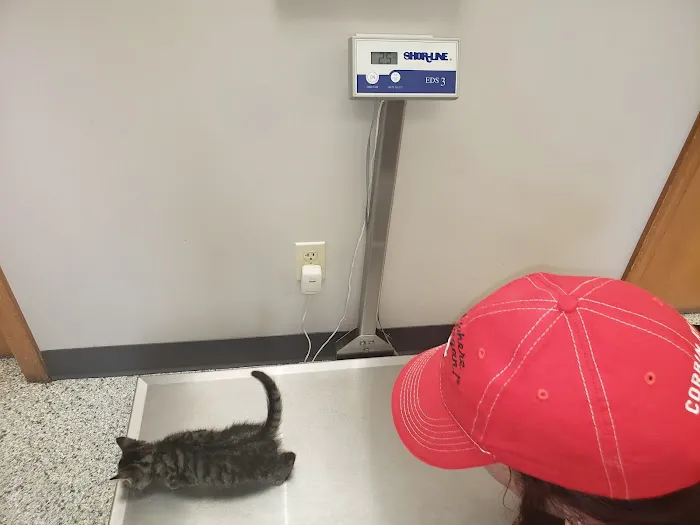 Salem Veterinary Service 12