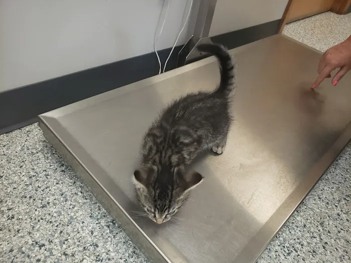 Salem Veterinary Service 12