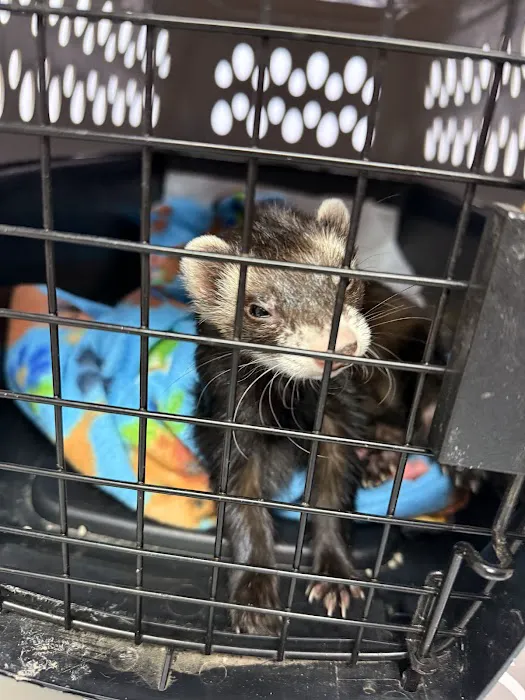 Animal Hospital of Bedford 10
