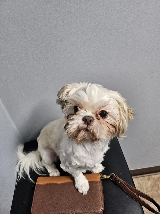 St. Clair Veterinary Clinic 2