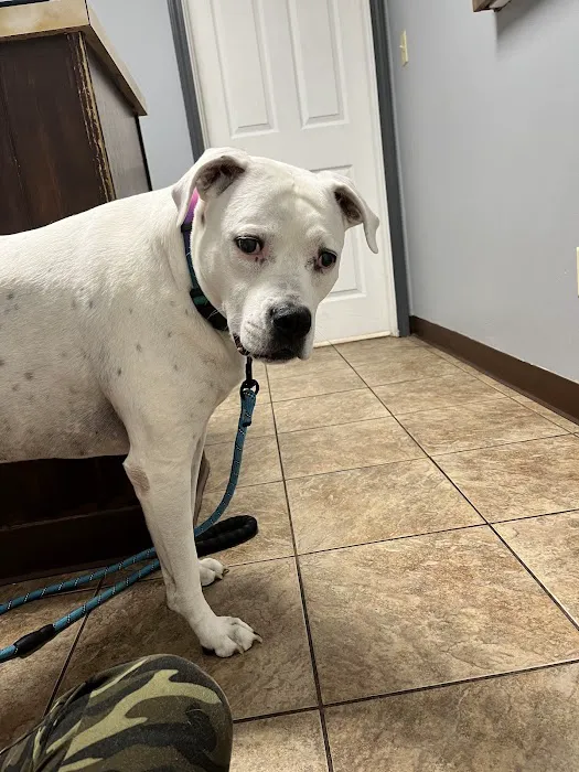 St. Clair Veterinary Clinic 1