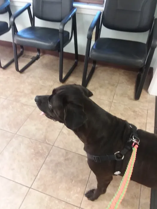 St. Clair Veterinary Clinic 7