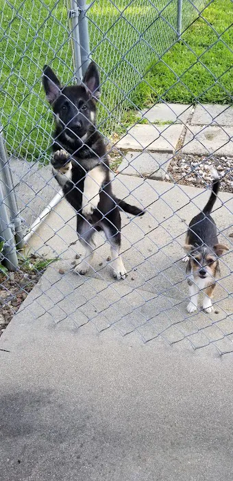 St. Clair Veterinary Clinic 5