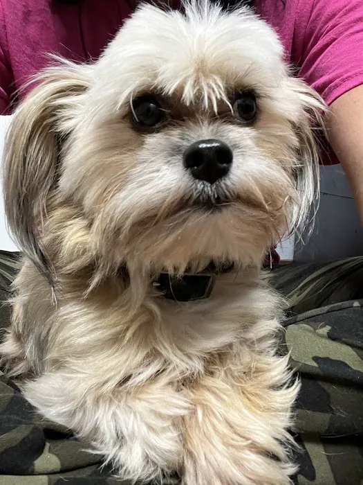 St. Clair Veterinary Clinic 8