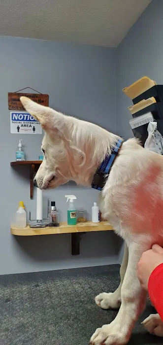 St. Clair Veterinary Clinic 4