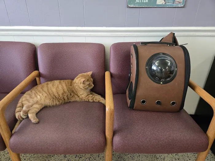 Pets Doc Veterinary Clinic 12