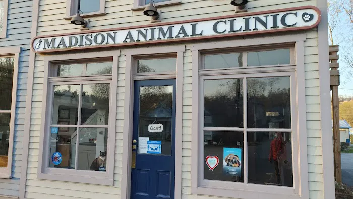 Madison Animal Clinic 4