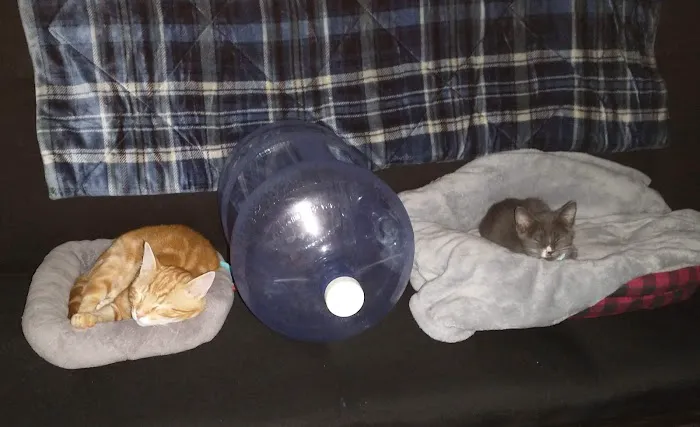 Madison Animal Clinic 1