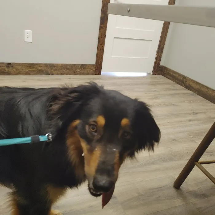 Madison Animal Clinic 2