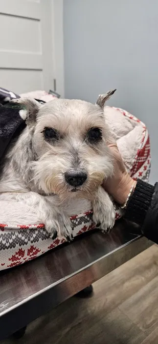 Madison Animal Clinic 6