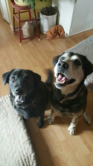 Madison Animal Clinic 7