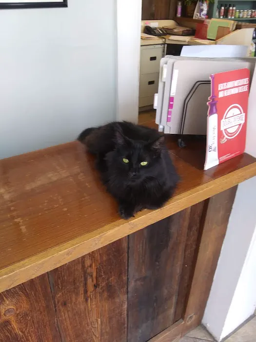 Madison Animal Clinic 10
