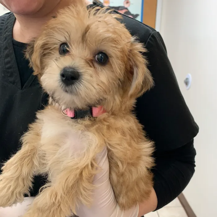 West Chester Veterinary Center 12