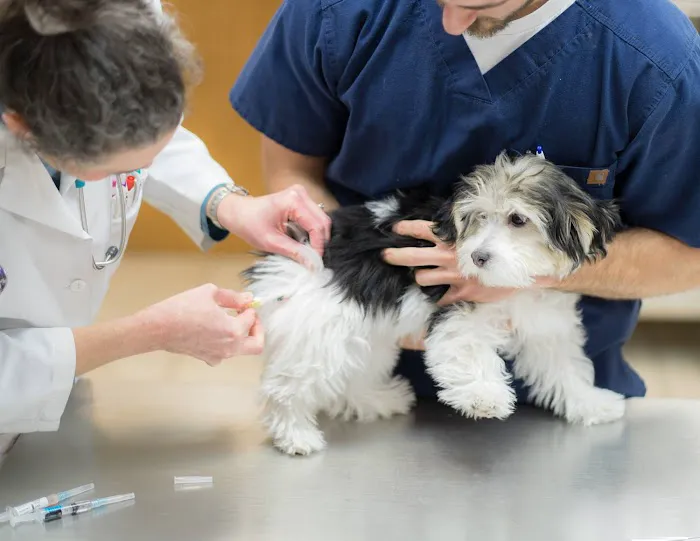 West Chester Veterinary Center 12