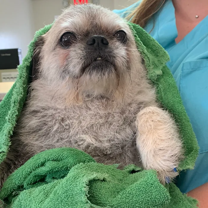 West Chester Veterinary Center 12