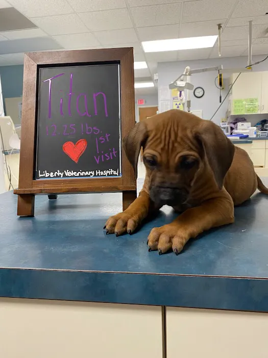 Liberty Veterinary Hospital 12