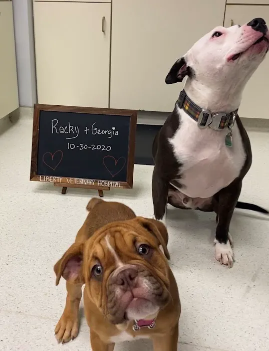 Liberty Veterinary Hospital 12
