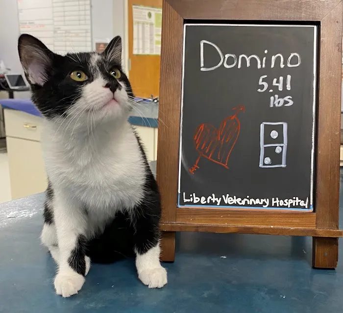 Liberty Veterinary Hospital 12