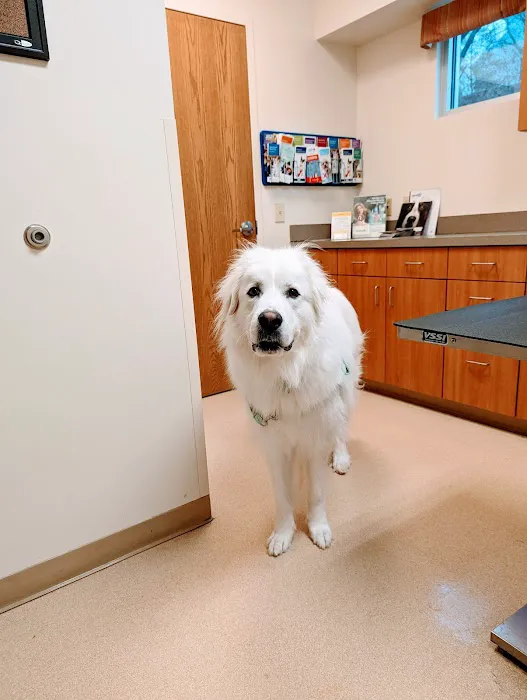 VCA Lakota Hills Animal Hospital 12