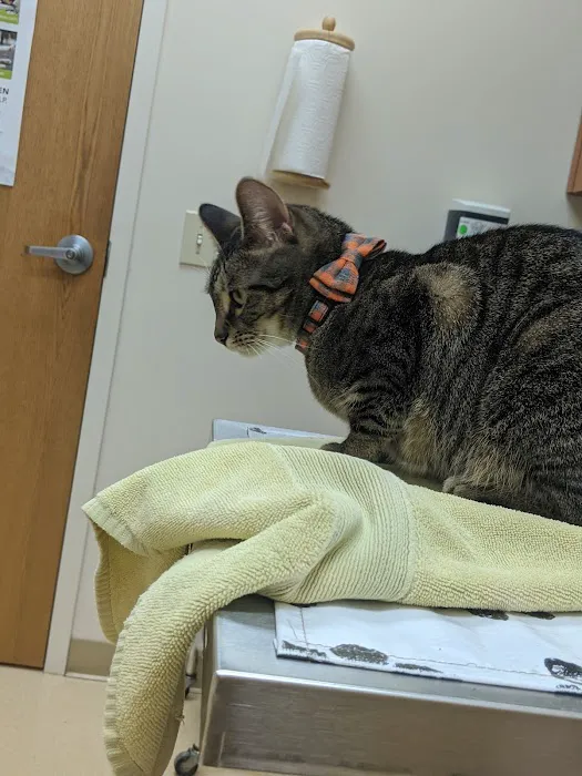 VCA Lakota Hills Animal Hospital 12
