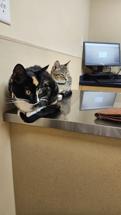 Noah's Ark Animal Clinic of Springdale 4