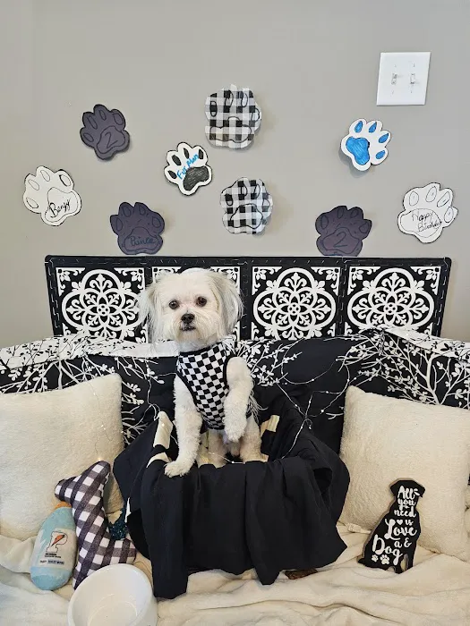 Woodridge Veterinary Hospital 2