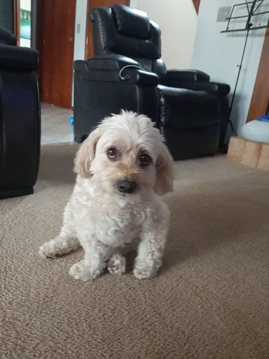 Woodridge Veterinary Hospital 10