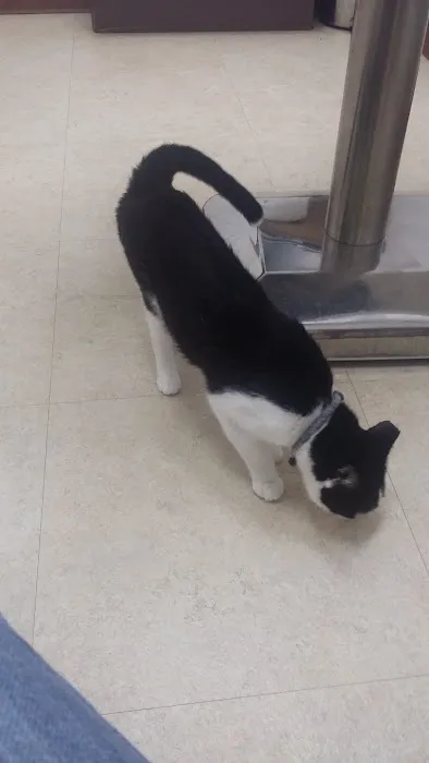 Woodridge Veterinary Hospital 7