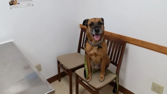 Woodridge Veterinary Hospital 8