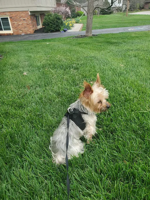 Animal Care Center of Fairfield 3